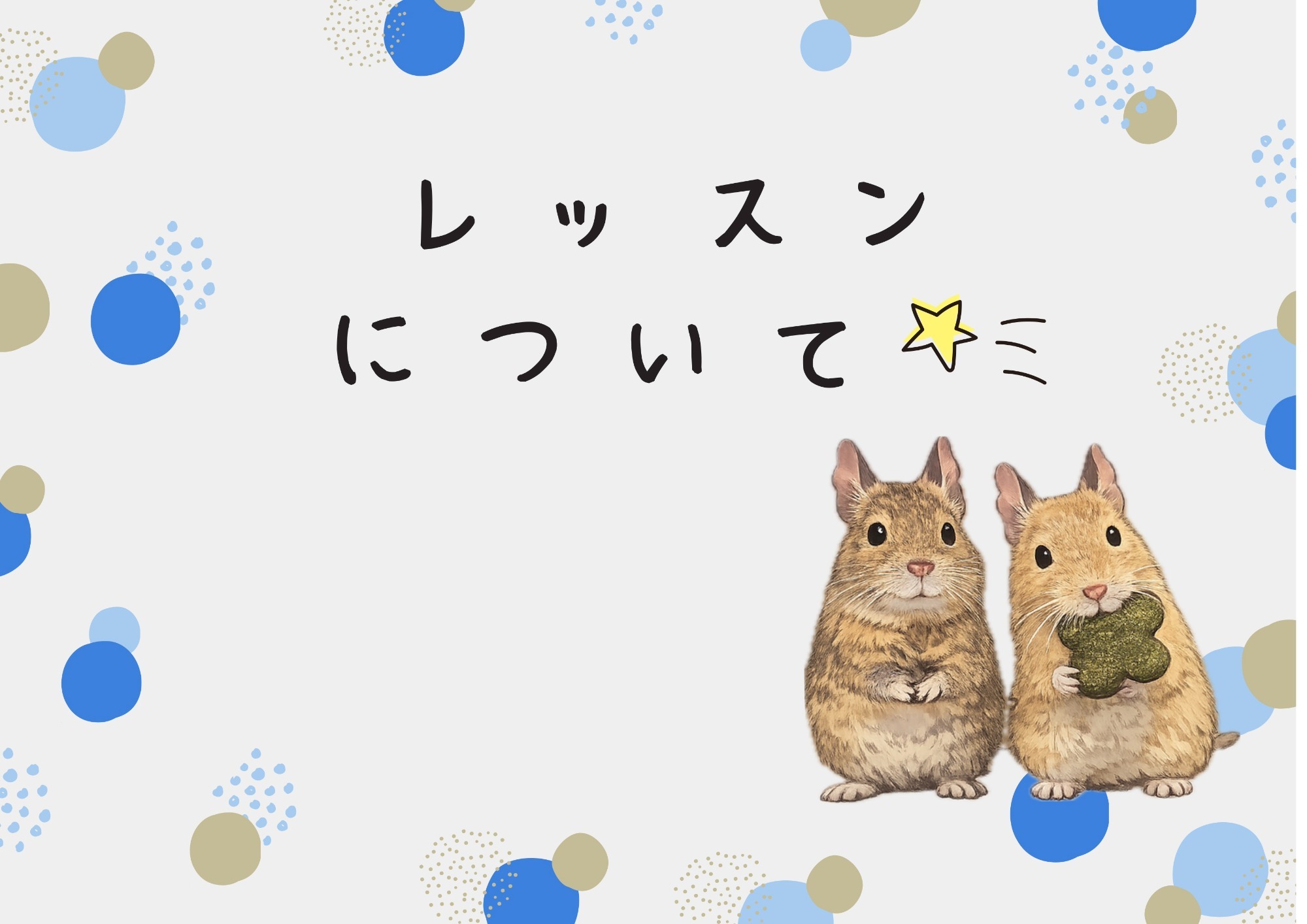 レッスンについて